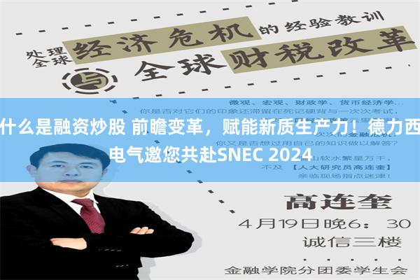 什么是融资炒股 前瞻变革，赋能新质生产力！德力西电气邀您共赴SNEC 2024