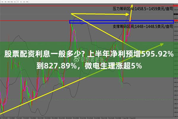 股票配资利息一般多少? 上半年净利预增595.92%到827.89%，微电生理涨超5%