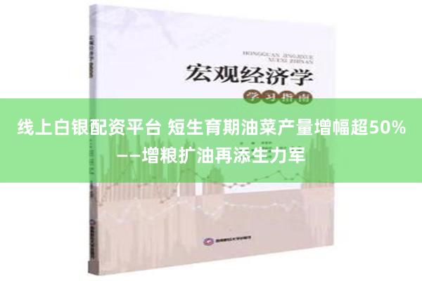 线上白银配资平台 短生育期油菜产量增幅超50%——增粮扩油再添生力军