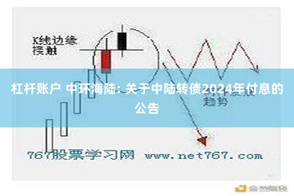 杠杆账户 中环海陆: 关于中陆转债2024年付息的公告