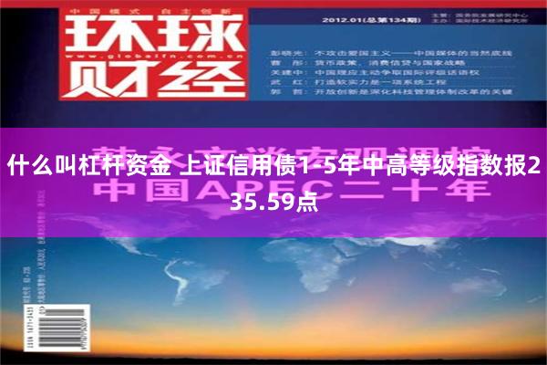 什么叫杠杆资金 上证信用债1-5年中高等级指数报235.59点