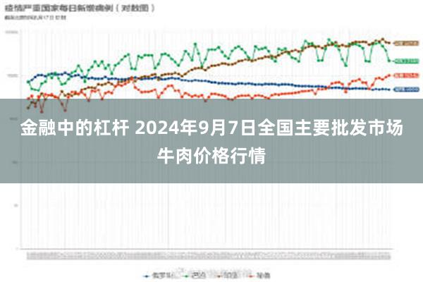 金融中的杠杆 2024年9月7日全国主要批发市场牛肉价格行情