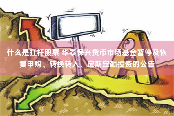 什么是扛杆股票 华泰保兴货币市场基金暂停及恢复申购、转换转入、定期定额投资的公告