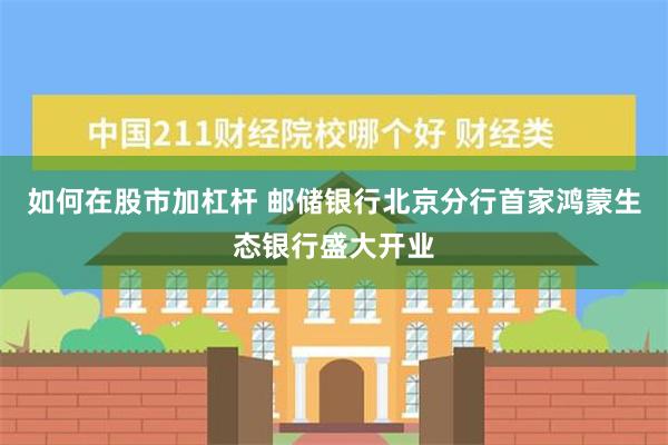 如何在股市加杠杆 邮储银行北京分行首家鸿蒙生态银行盛大开业