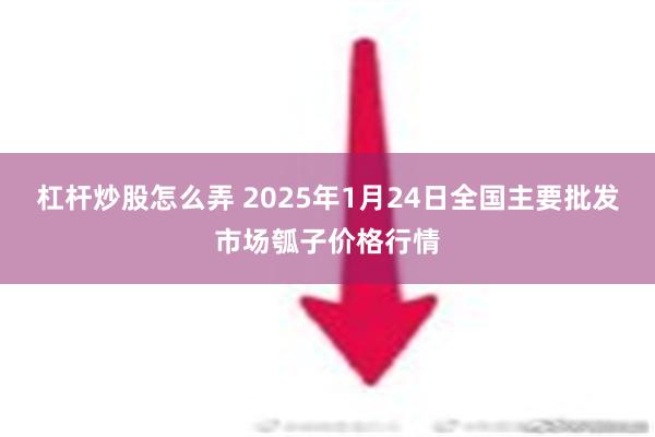 杠杆炒股怎么弄 2025年1月24日全国主要批发市场瓠子价格行情