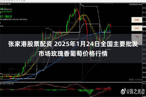 张家港股票配资 2025年1月24日全国主要批发市场玫瑰香葡萄价格行情