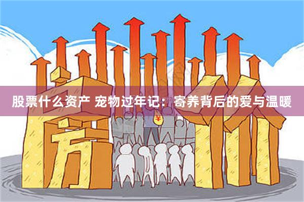 股票什么资产 宠物过年记：寄养背后的爱与温暖